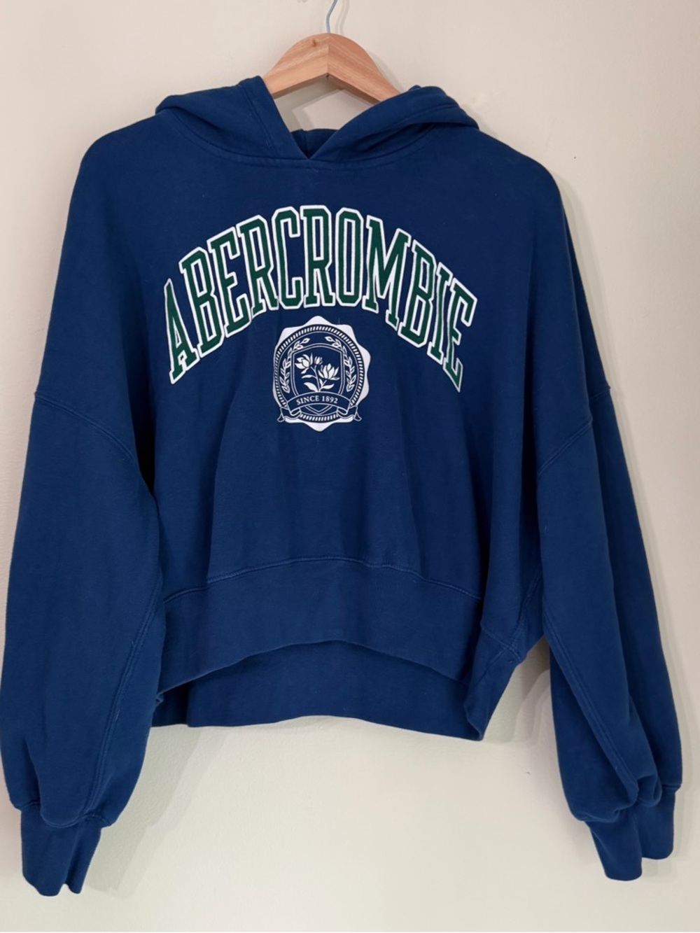 Abercrombie & Fitch Navy Pullover Hoodie